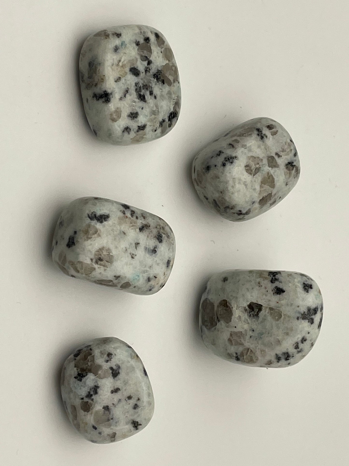 Kiwi Jasper