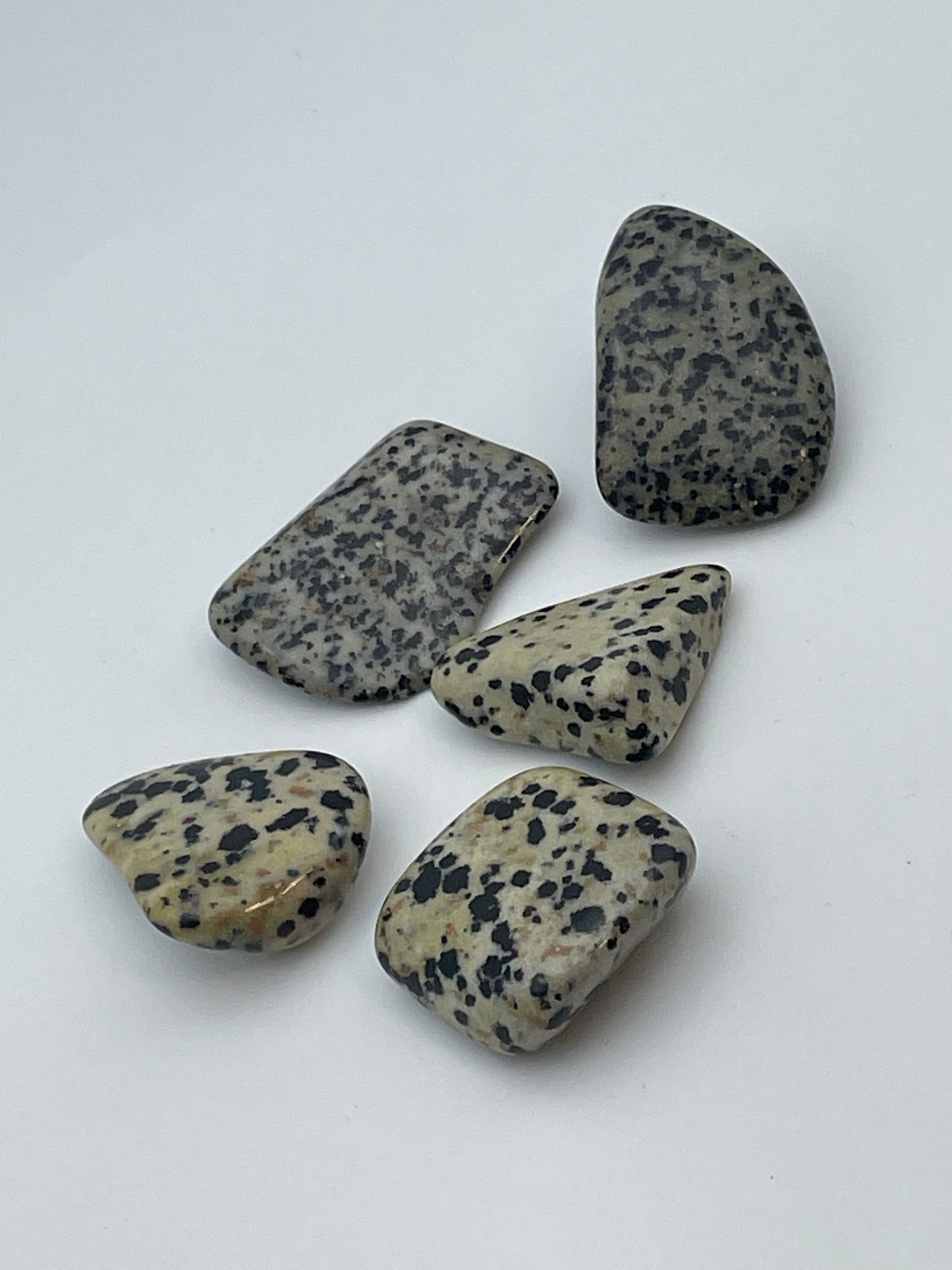 Dalmatian Jasper
