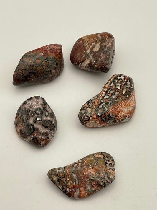 Leopardskin Jasper