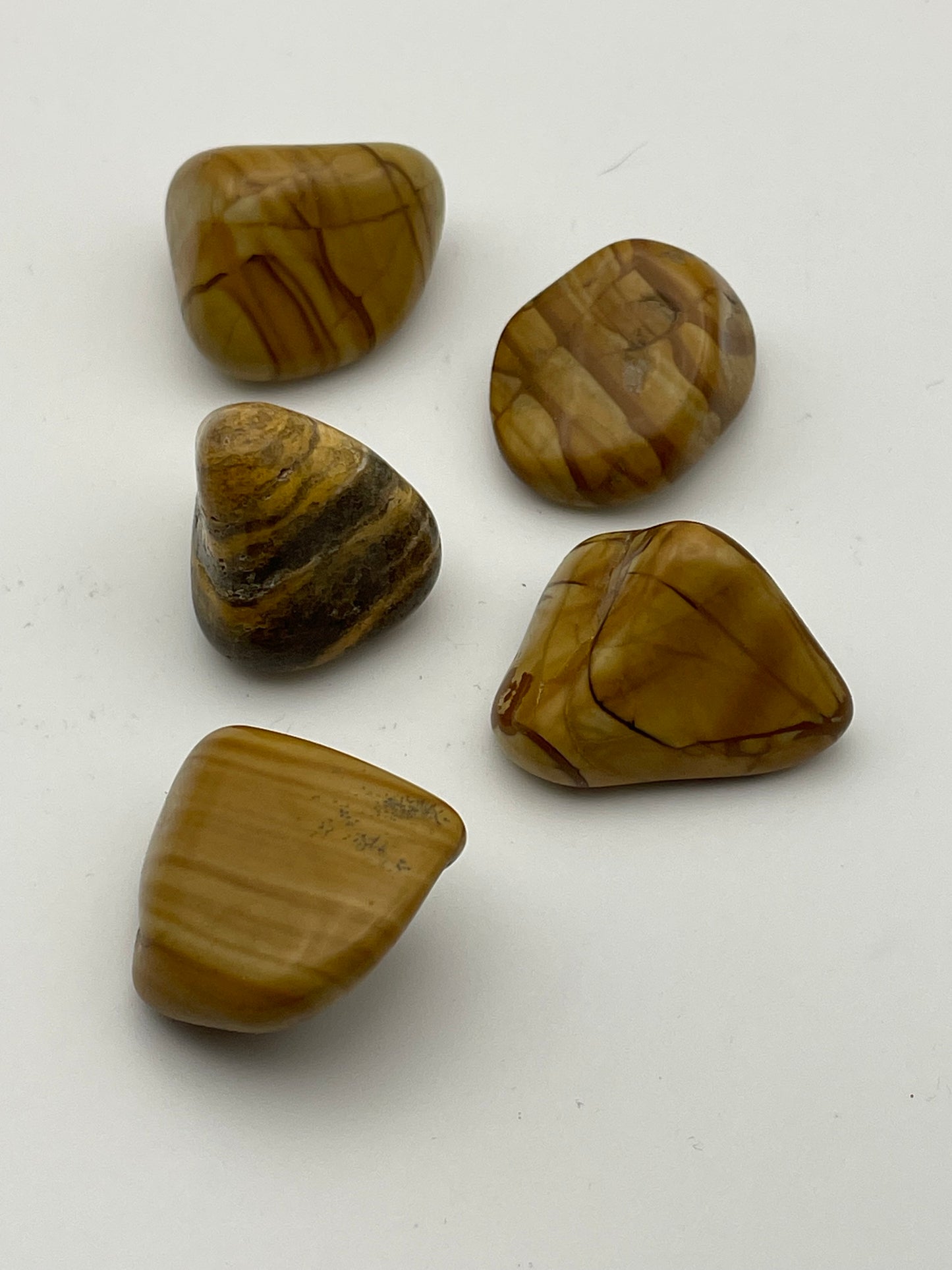 Walnut Jasper