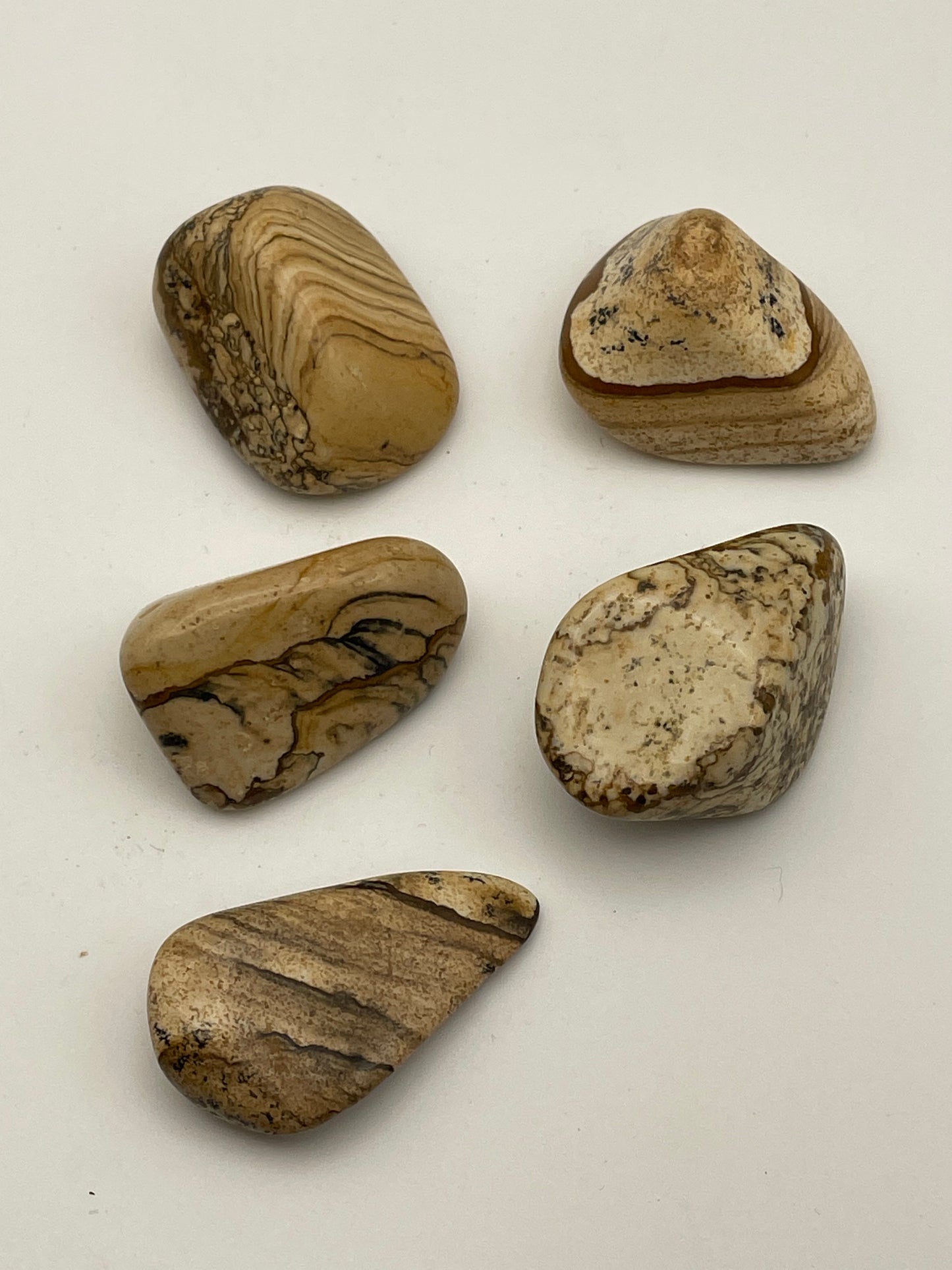 Kalahari Desert Stone